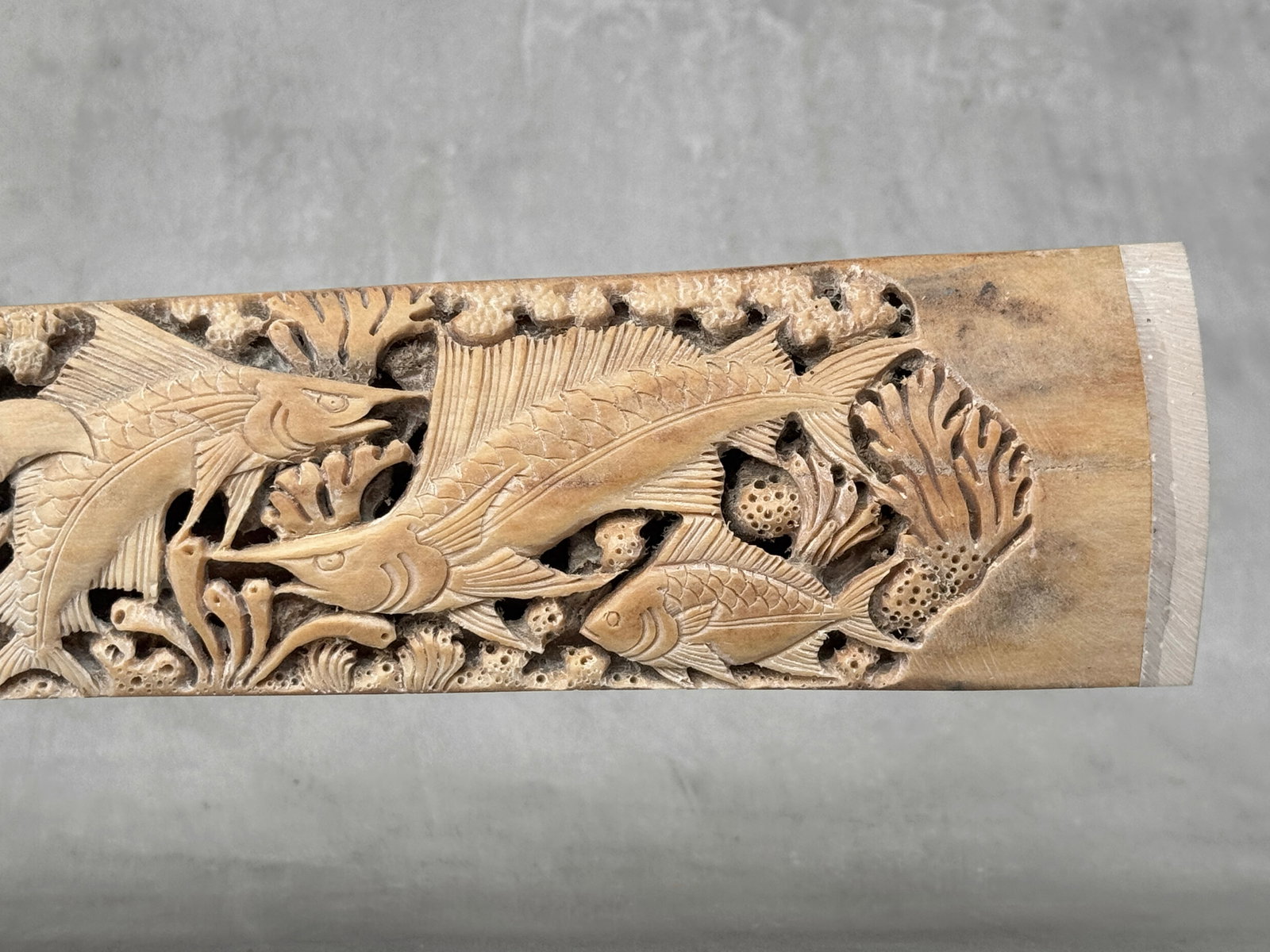 Wonderful engraved Swordfish rostrum - Marine motif - 9
