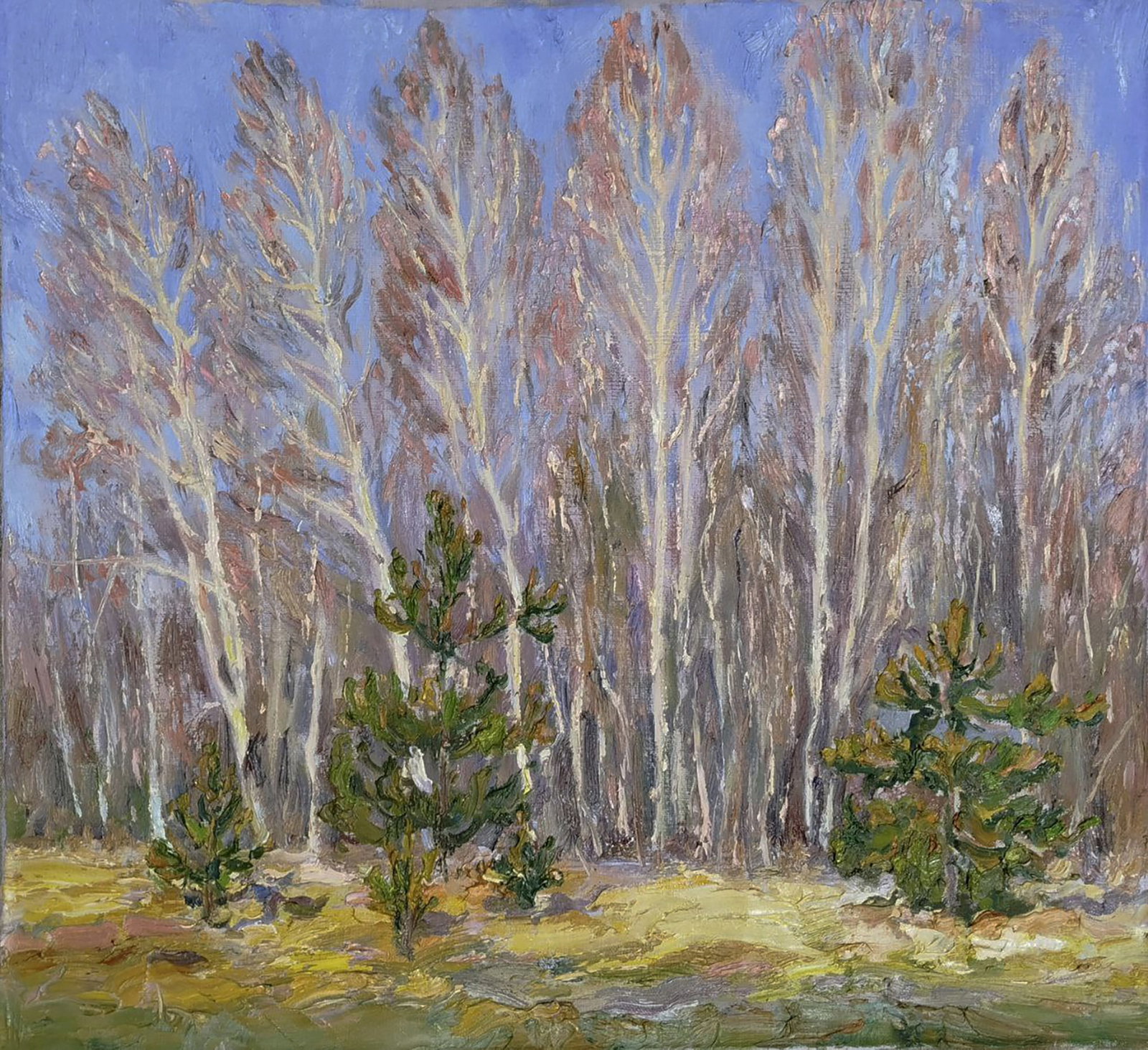 Oil painting Spring blooming forest Leonid Pavlenko: 168PAVL Painter: Leonid Pavlenko Size: 50x55 cm/19.68x21.65 inches Components: oil, canvas Original painting CONDITION: excellent ARTIST: Born on April 23, 1970 in the village. Bondarivka, Zhytomyr re