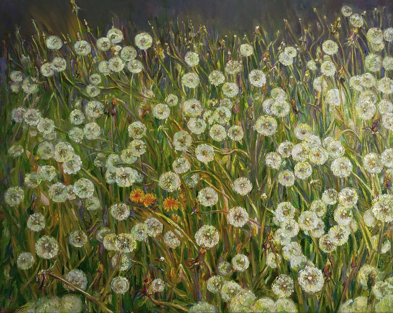 Oil painting Dandelions are blooming Leonid Pavlenko: 184PAVL Painter: Leonid Pavlenko Size: 80x100 cm/31.49x39.37 inches Components: oil, canvas Original painting CONDITION: excellent ARTIST: Born on April 23, 1970 in the village. Bondarivka, Zhytomyr