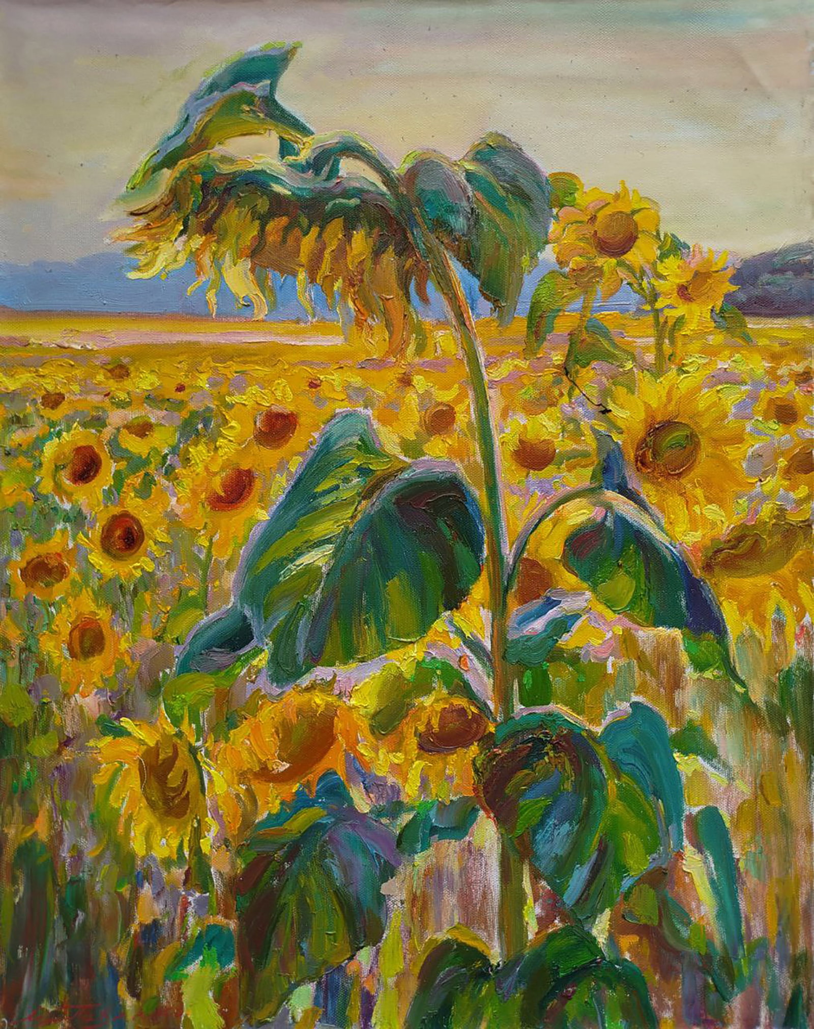 Oil painting Among the sunflowers Leonid Pavlenko: 195PAVL Painter: Leonid Pavlenko Size: 70x55 cm/27.55x21.65 inches Components: oil, canvas Original painting CONDITION: excellent ARTIST: Born on April 23, 1970 in the village. Bondarivka, Zhytomyr re