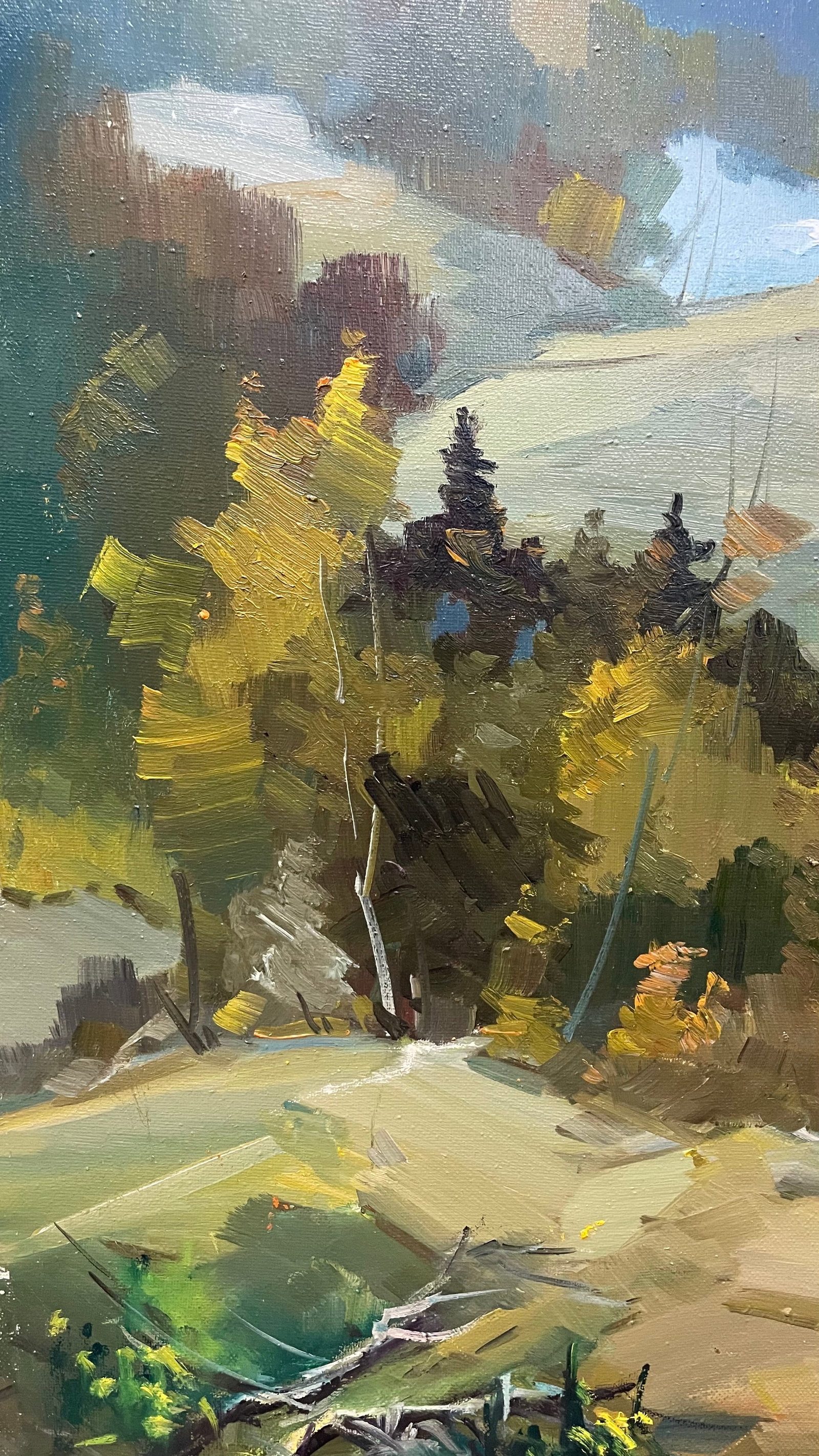 Oil painting Hills Ivan Romanyuk - 5