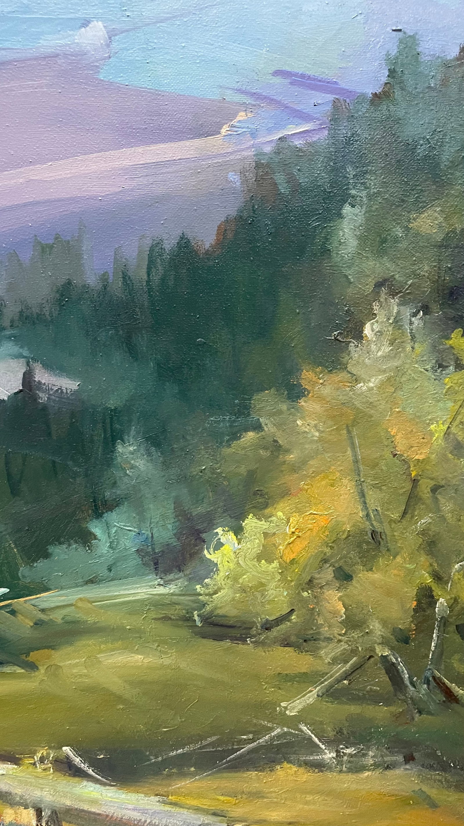 Oil painting From the peak Ivan Romanyuk - 7