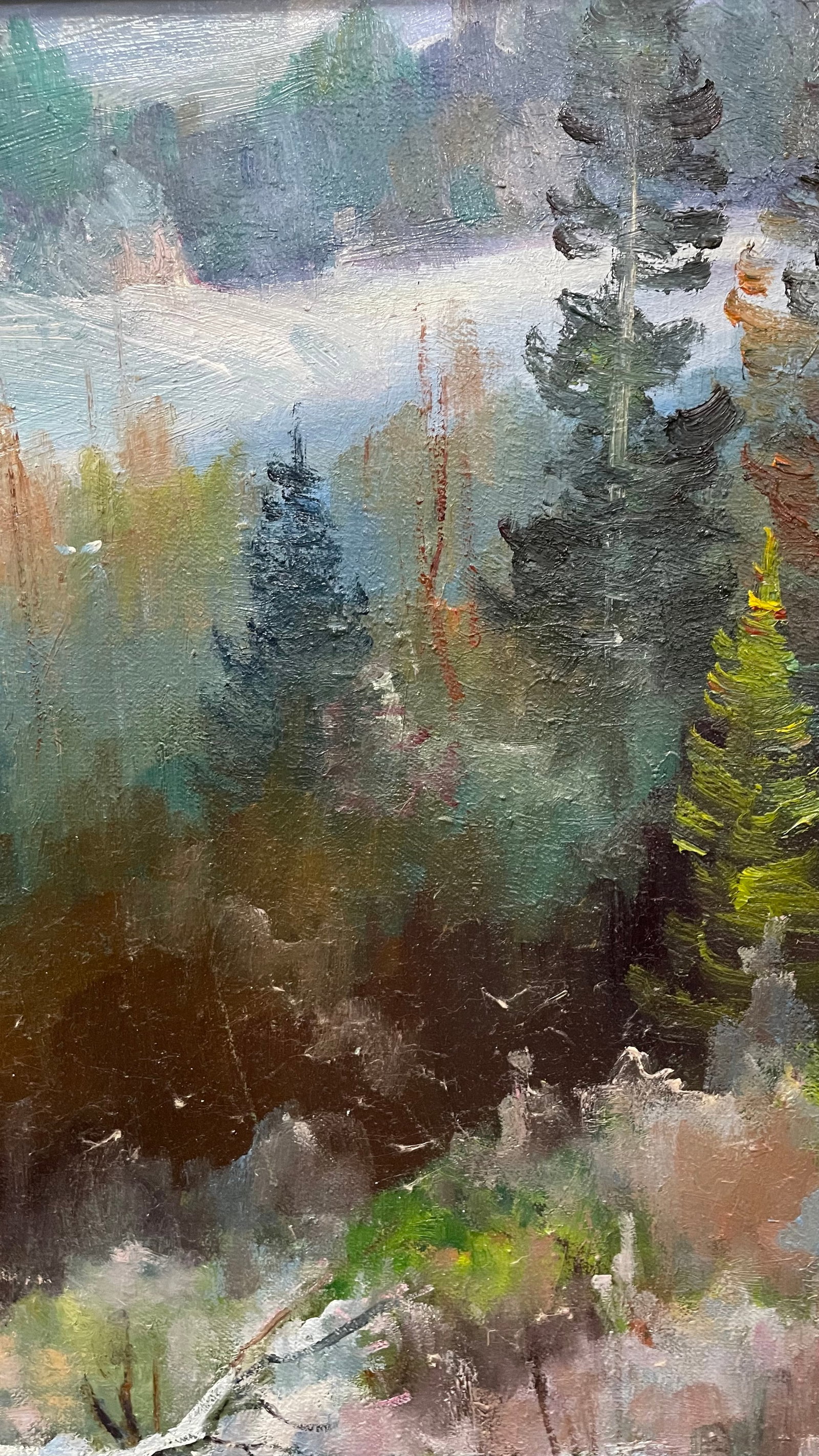 Oil painting Mountain train Ivan Romanyuk - 5