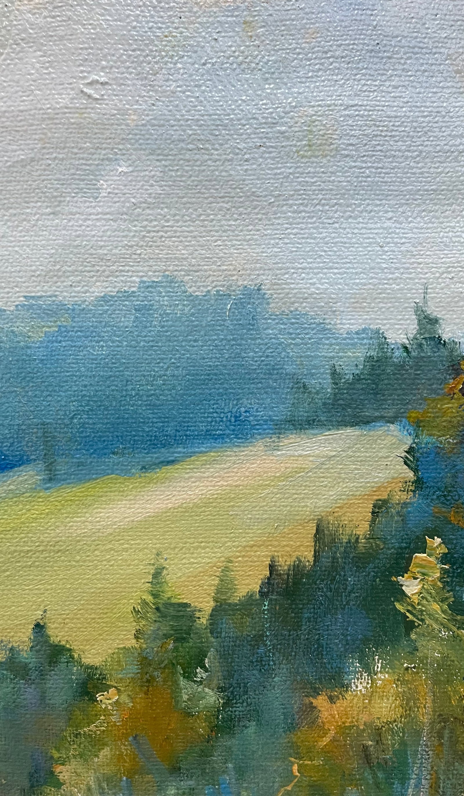 Oil painting River bend Ivan Romanyuk - 3