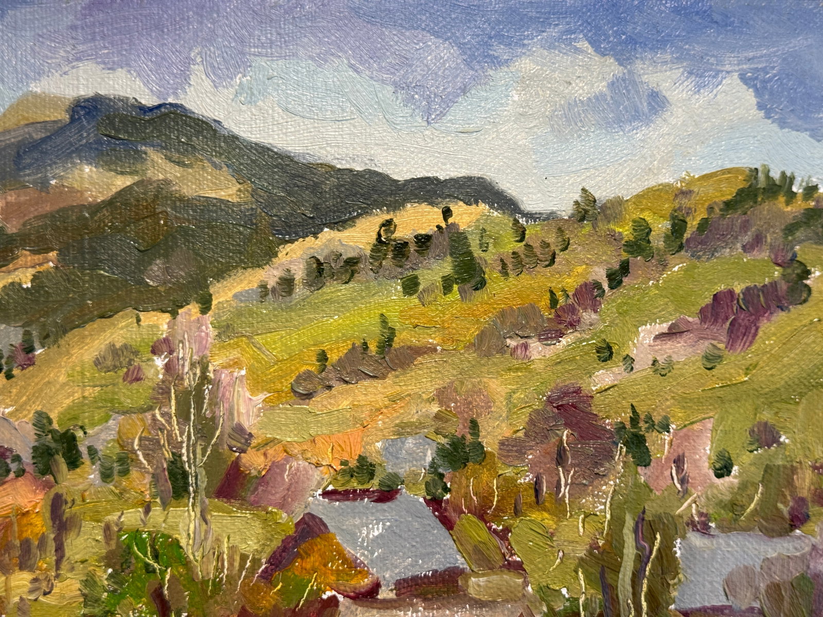 Oil painting with frame Carpathian mountain resort K. Leonid - 3