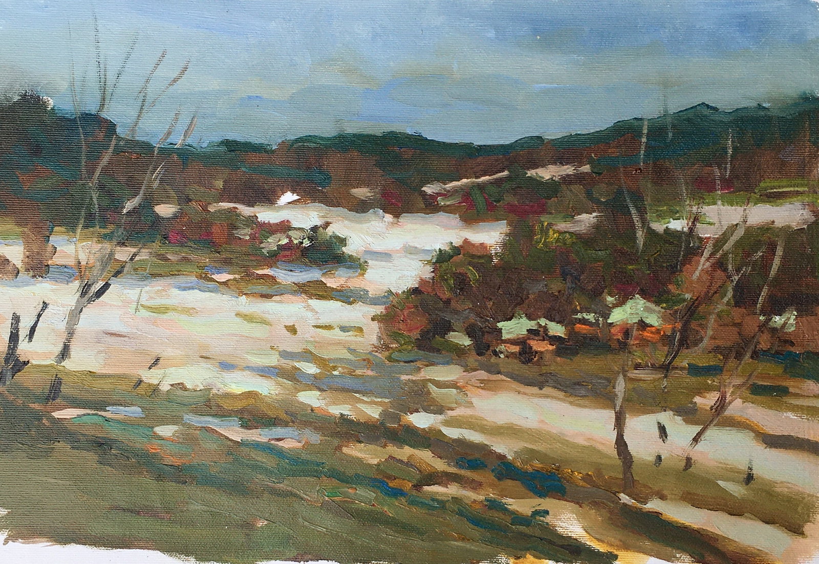 Oil painting Early spring Sergey Ivanovich Animov: 282DDD Painter: Sergey Ivanovich Animov S?ze: 25x38 cm/9,84x14,96 inches Components: canvas, oil Original painting from our collection ERA: modern About the artist: Serhiy Ivanovych was born on May 12