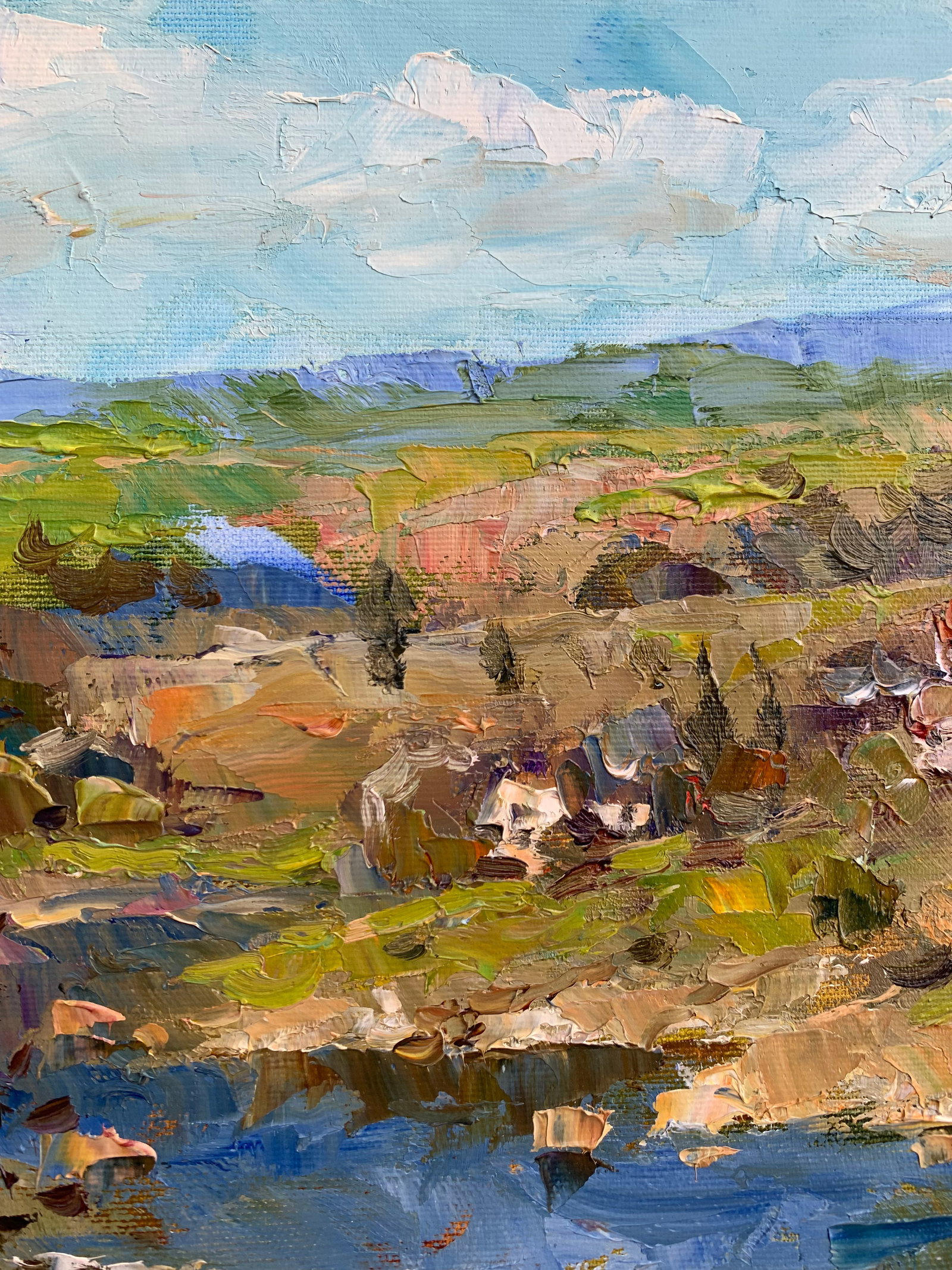 Oil painting Near the pond Sergey Ivanovich Animov - 5