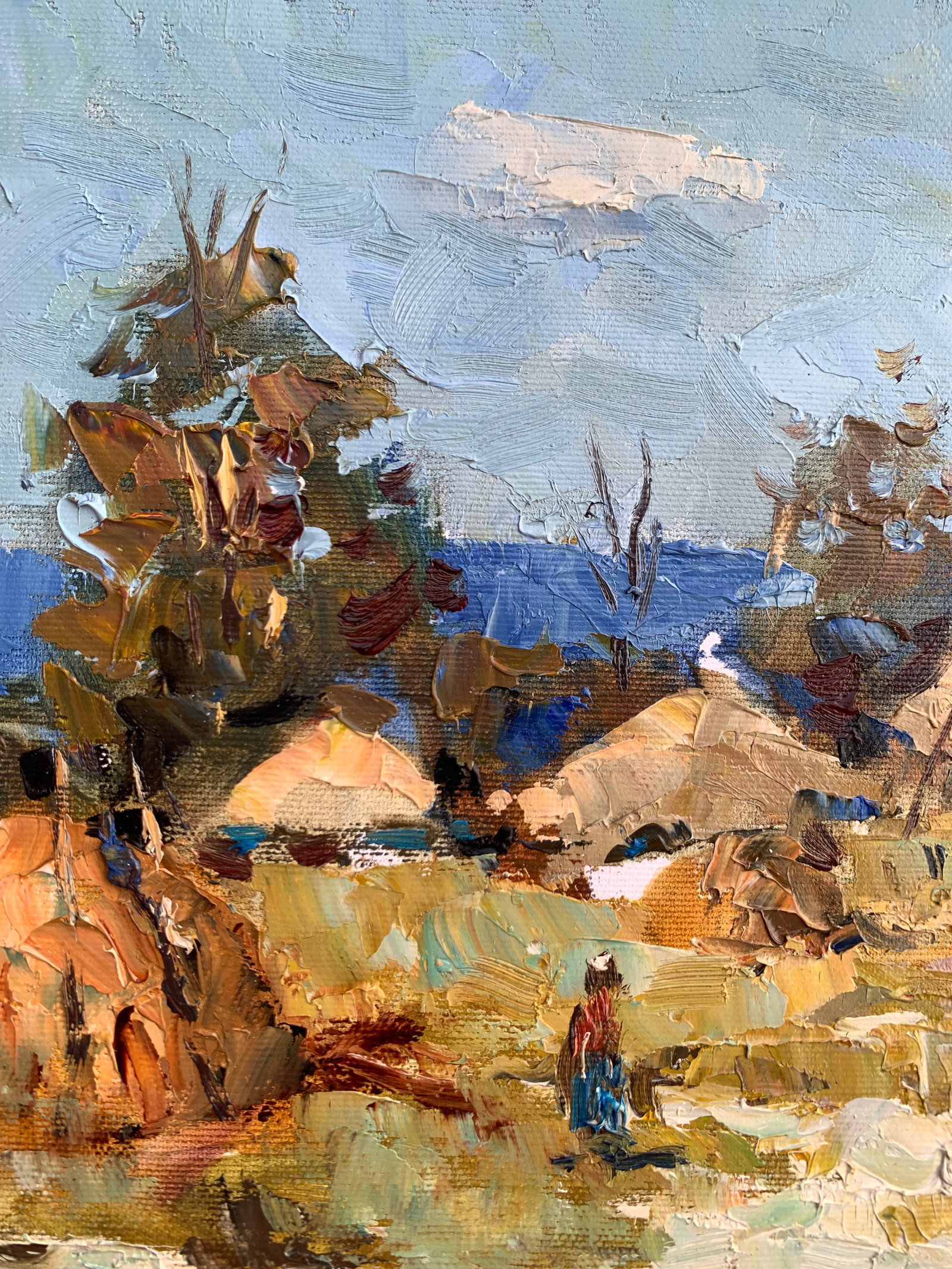 Oil painting Summer on the outskirts Sergey Ivanovich Animov - 3