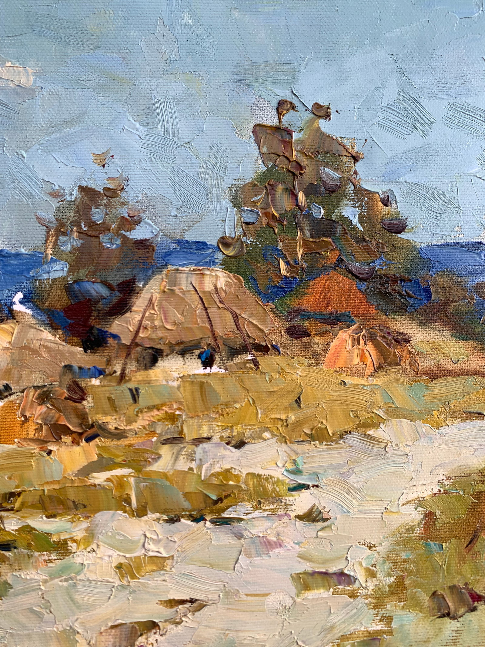 Oil painting Summer on the outskirts Sergey Ivanovich Animov - 7