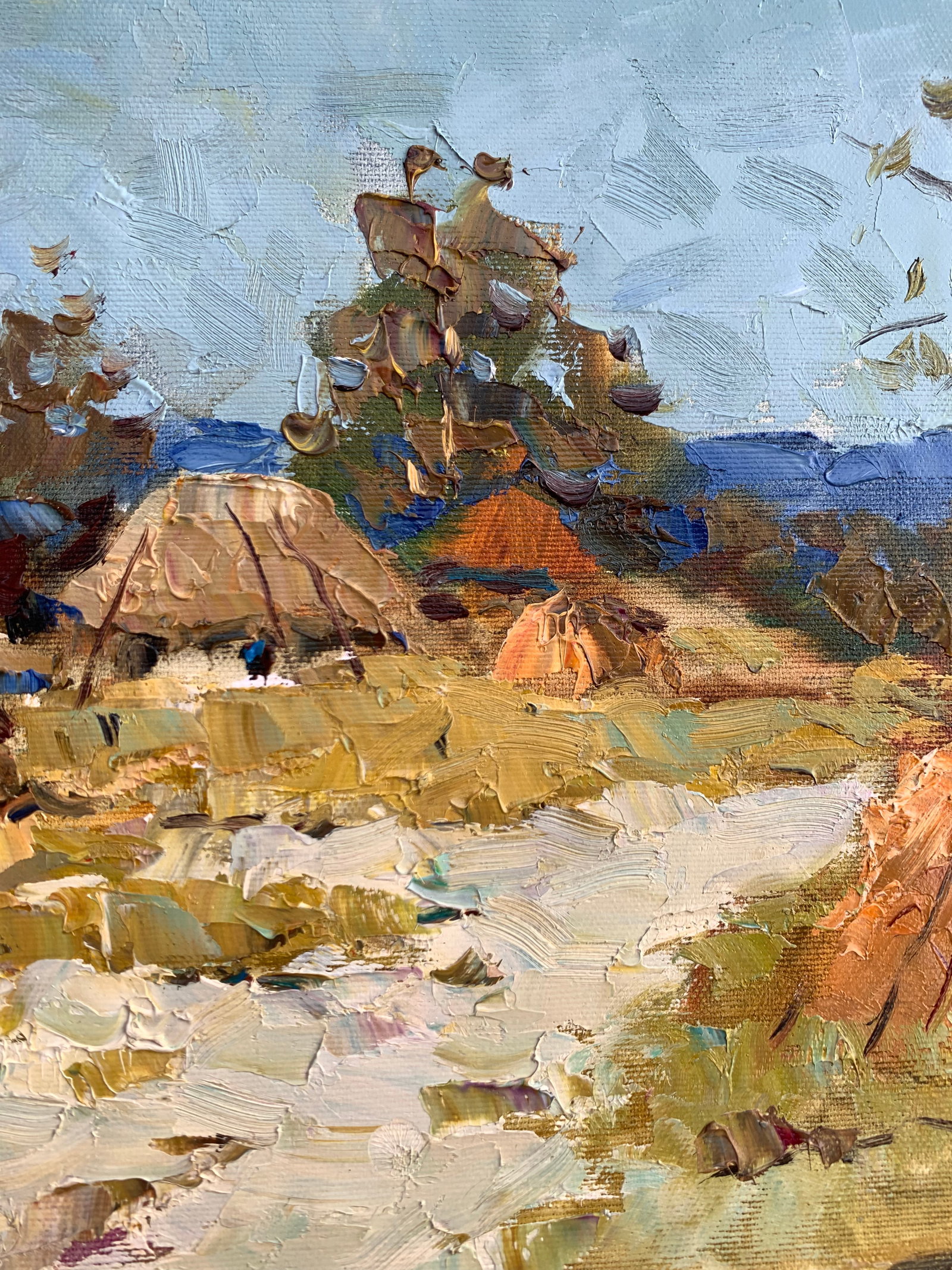 Oil painting Summer on the outskirts Sergey Ivanovich Animov - 9