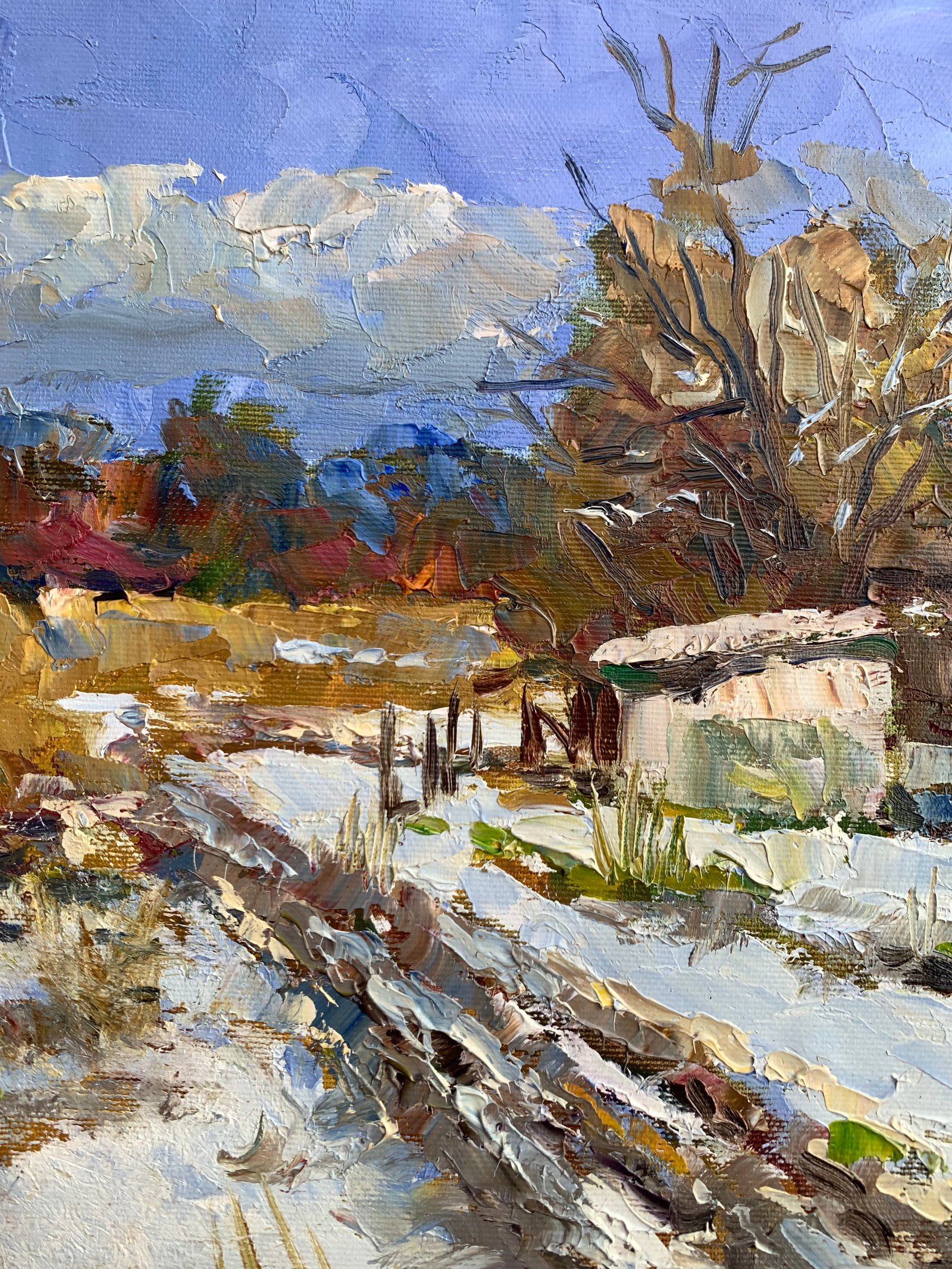 Oil painting Behind the yard Sergey Ivanovich Animov - 3