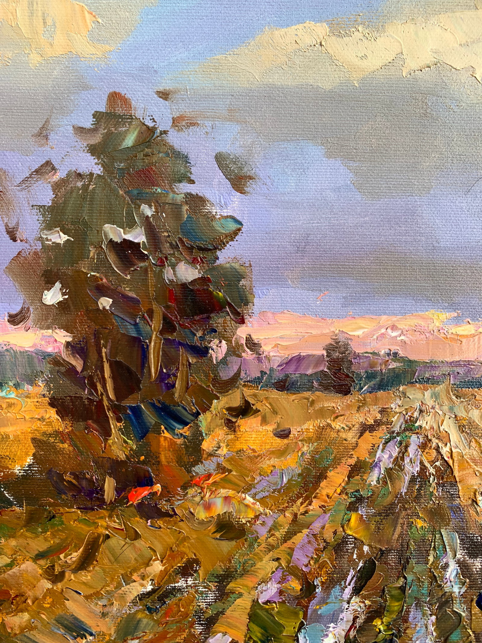 Oil painting Road to the horizon Sergey Ivanovich Animov - 3
