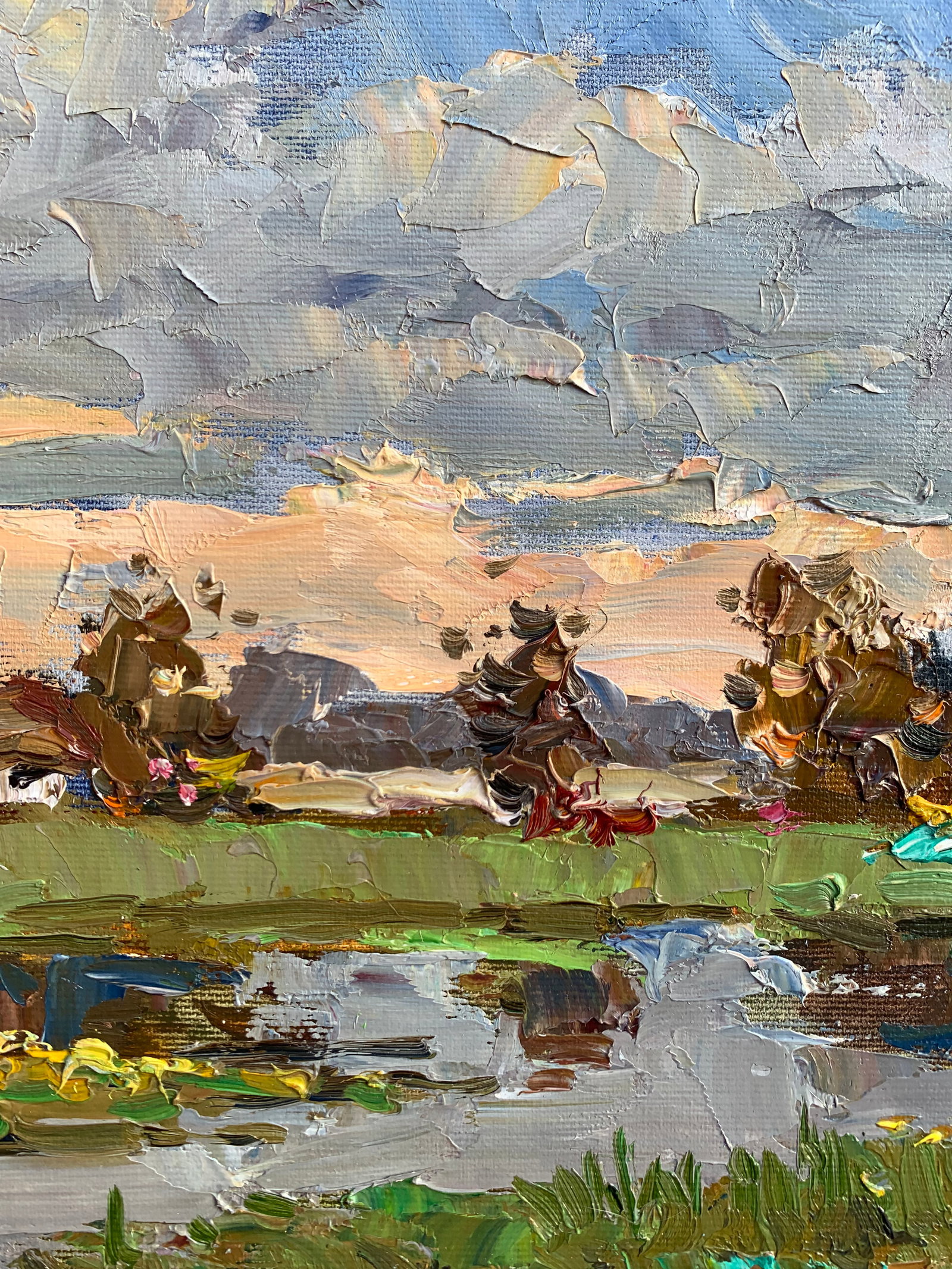 Oil painting Meadows near the pond Sergey Ivanovich Animov - 5