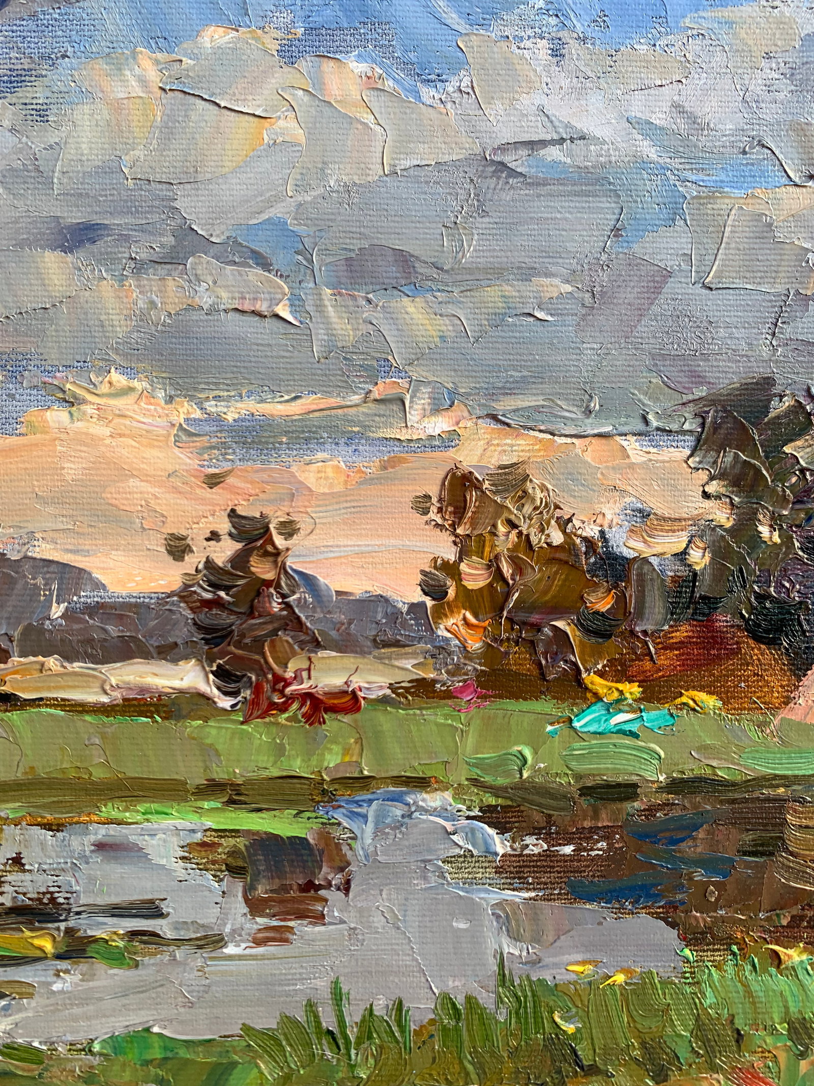 Oil painting Meadows near the pond Sergey Ivanovich Animov - 7