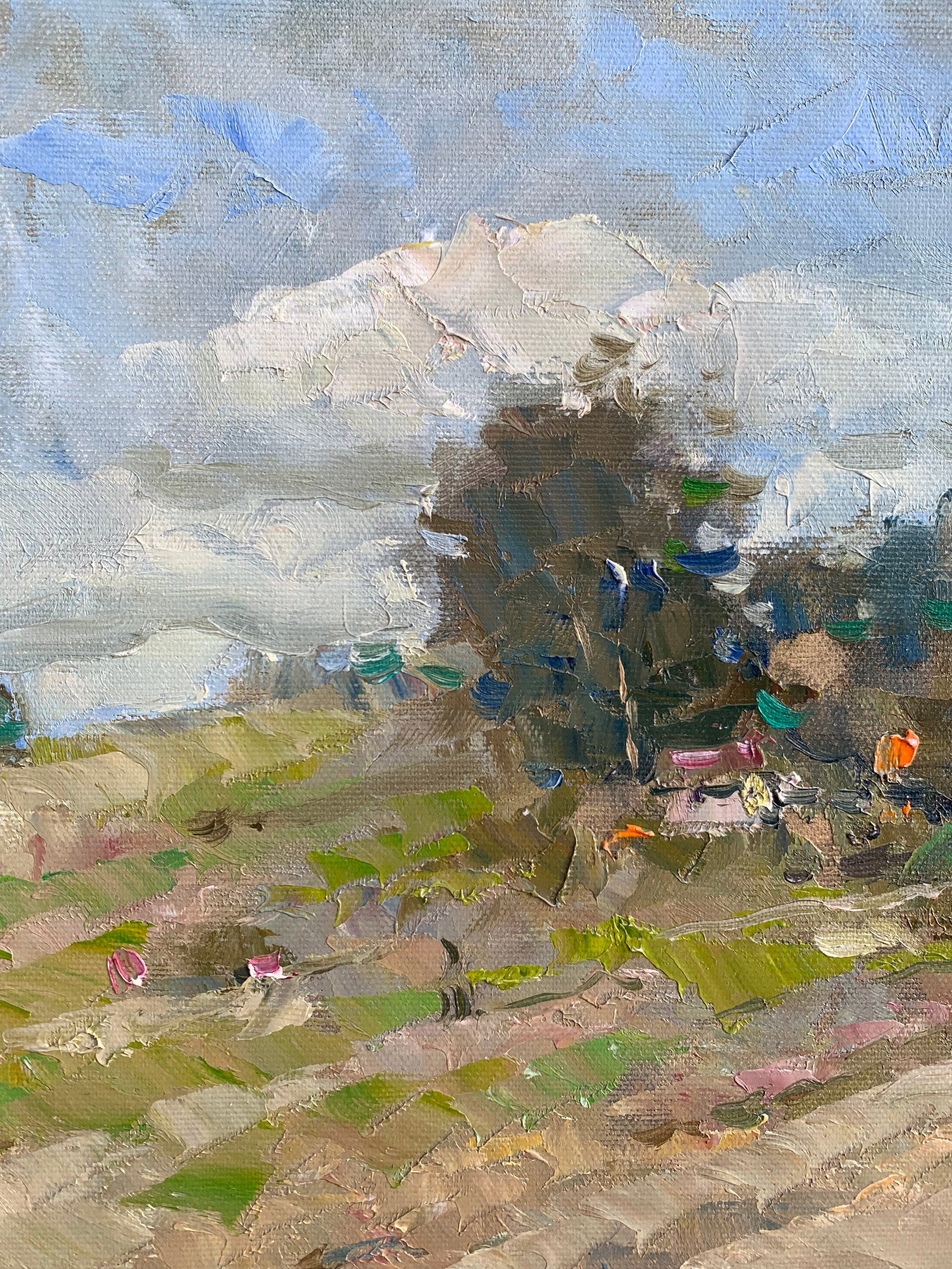 Oil painting Morning coolness Yard Sergey Ivanovich Animov - 3