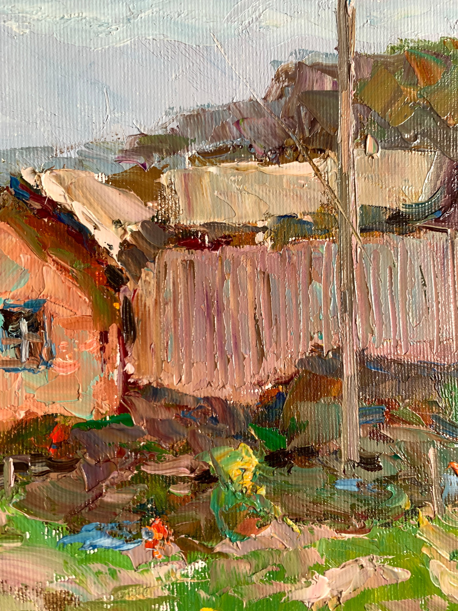 Oil painting Behind the fence Sergey Ivanovich Animov - 11