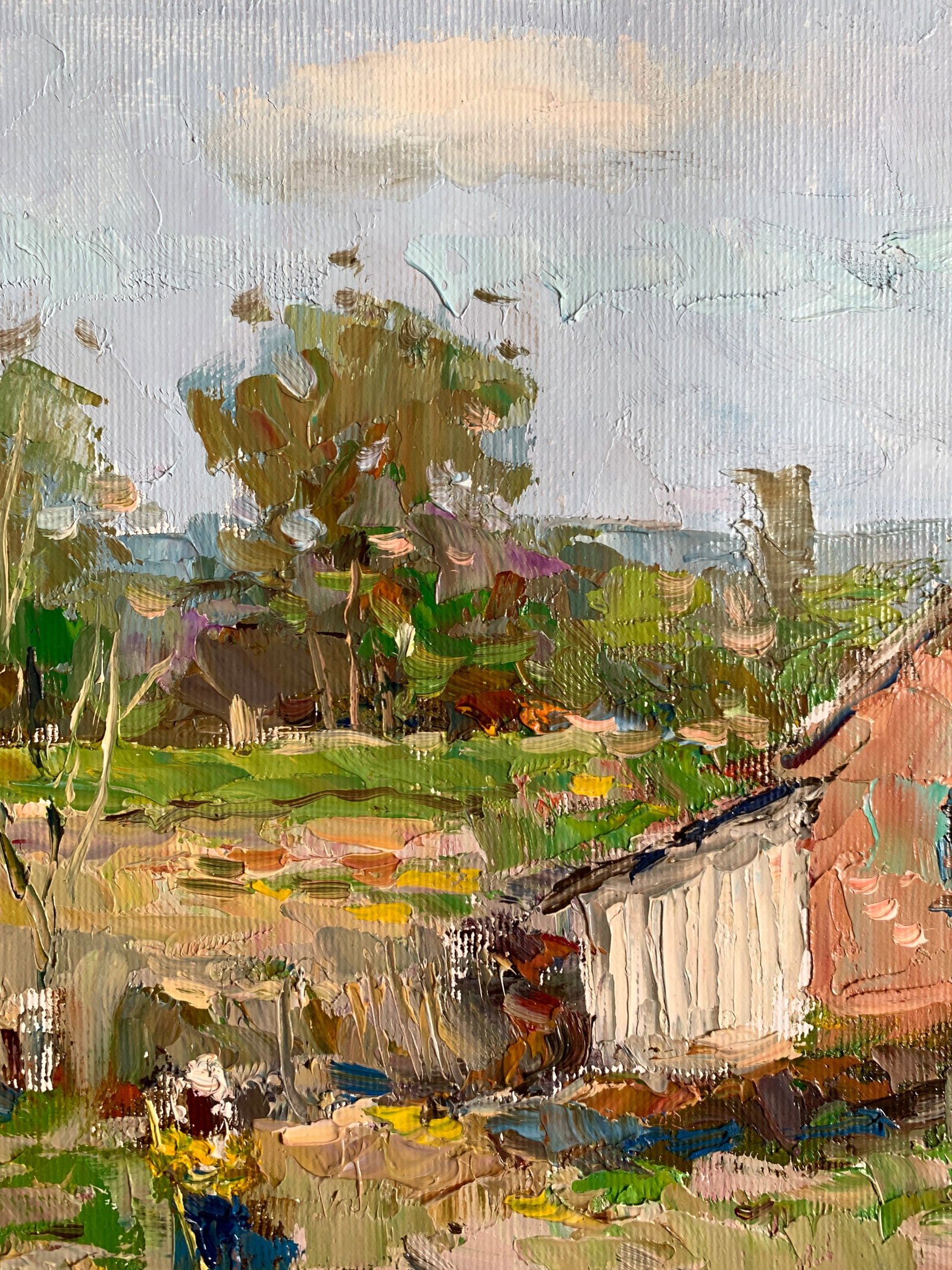Oil painting Behind the fence Sergey Ivanovich Animov - 4