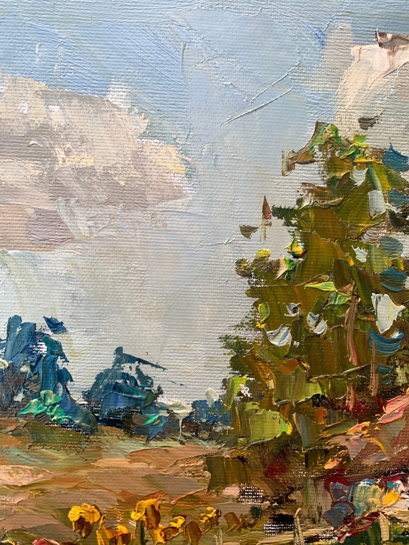 Oil painting House on the hill Sergey Ivanovich Animov - 3
