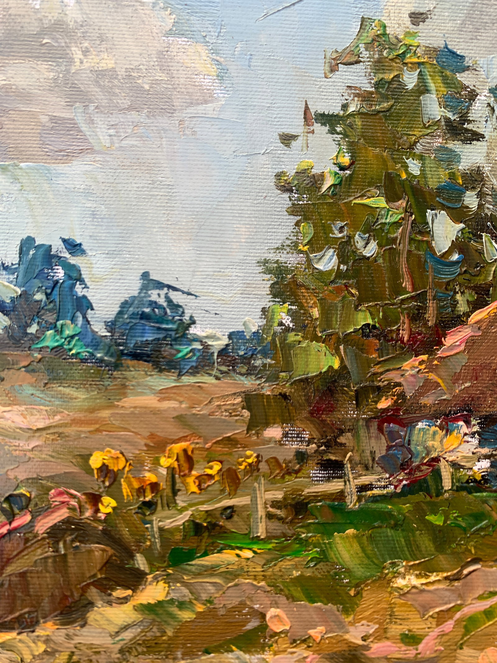 Oil painting House on the hill Sergey Ivanovich Animov - 4