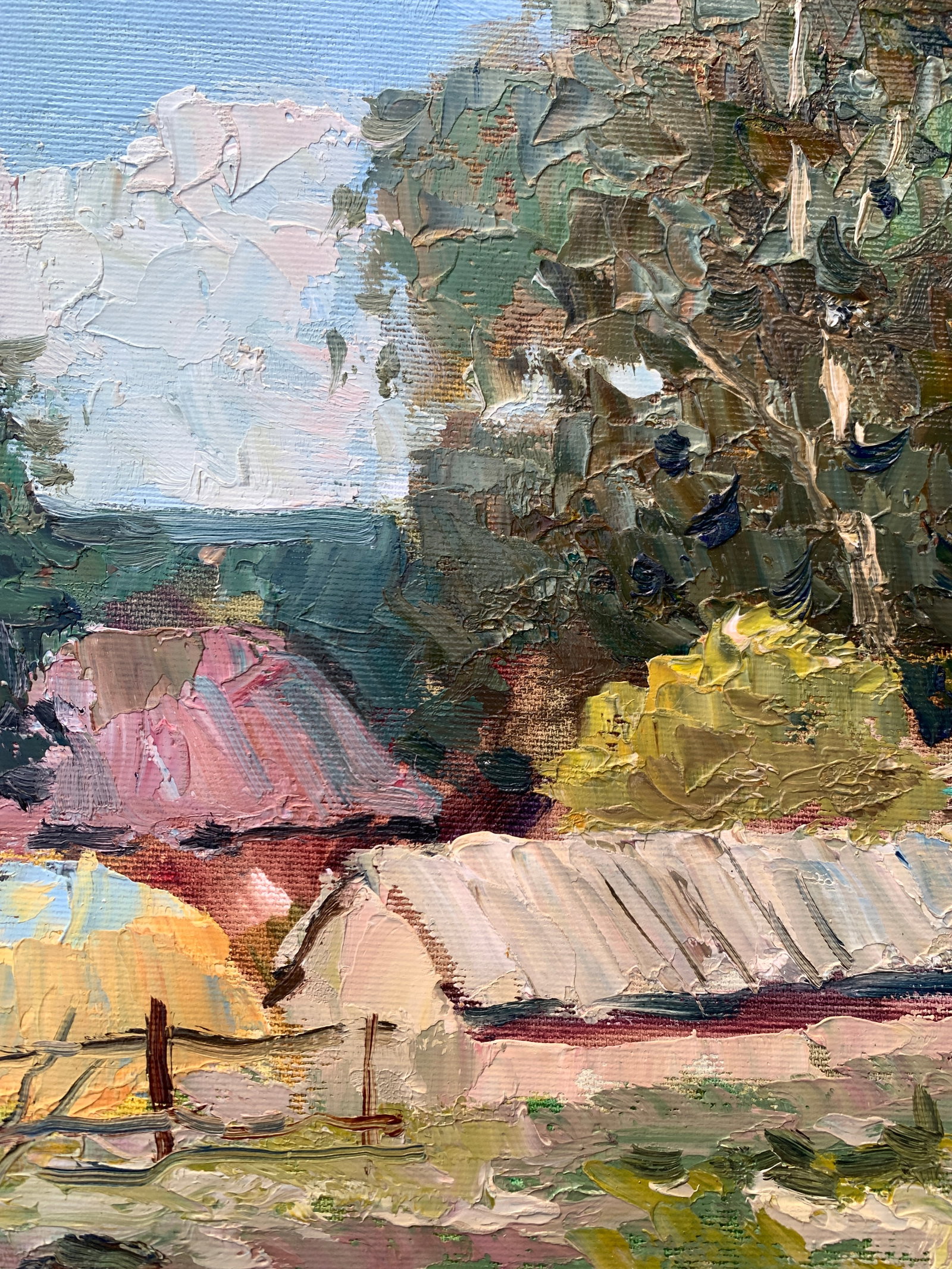 Oil painting Village houses Sergey Ivanovich Animov - 4
