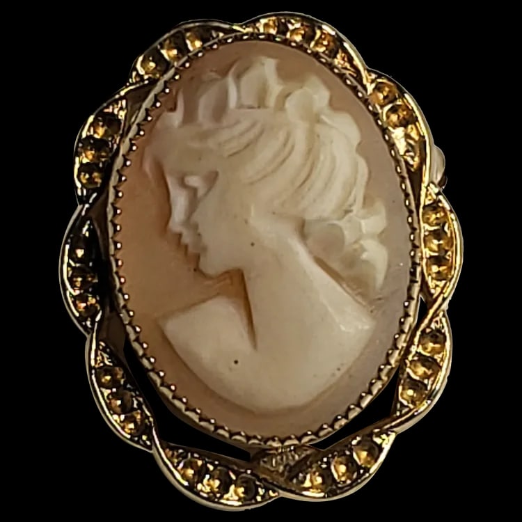 Vintage Cameo Pin/Pendant/Brooch Hallmarked 1/20-12k G.F. (1 of 6)