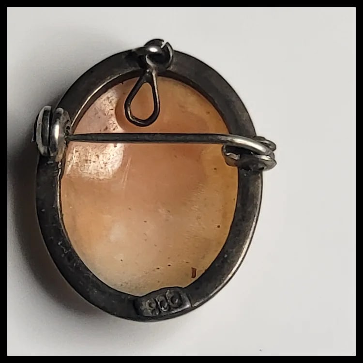 Vintage SilverCameo Pin/Pendant/Brooch Hallmarked 800 - 3