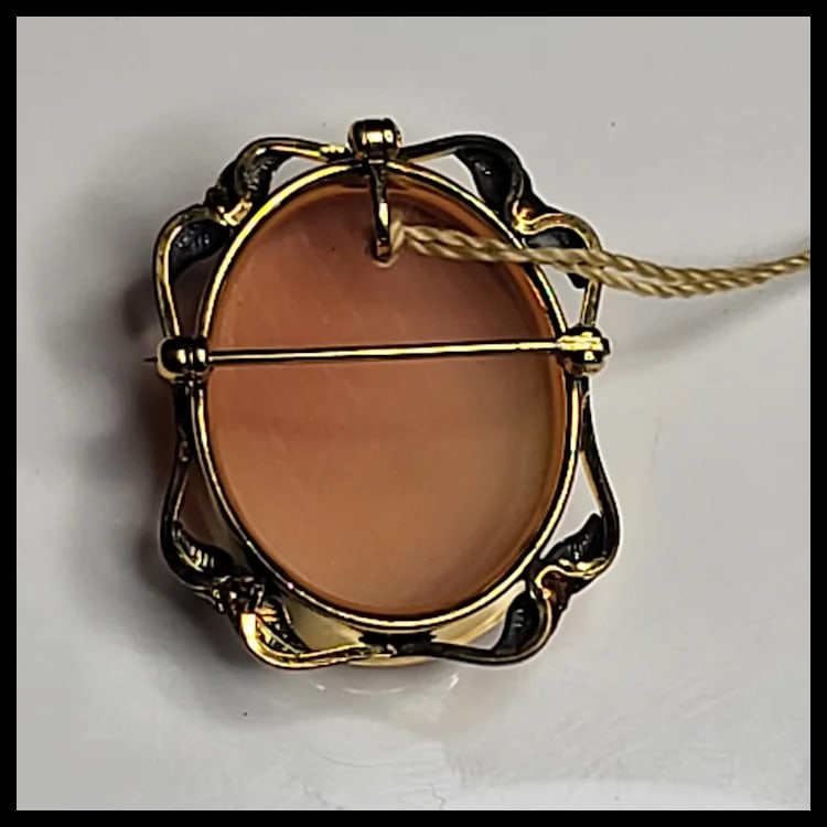 Vintage Van Dell Gold Filled Cameo Pin/Pendant/Brooch1 x 1.5 inchesTagged Cameos by Van Dell 1/20-12 - 3