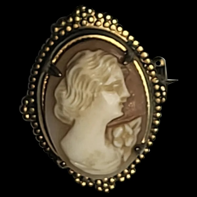 Vintage Ornate Cameo Pin/Brooch (1 of 5)