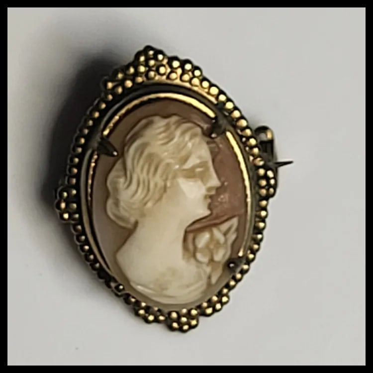 Vintage Ornate Cameo Pin/Brooch - 2