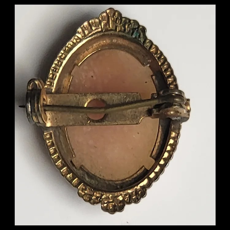 Vintage Ornate Cameo Pin/Brooch - 3
