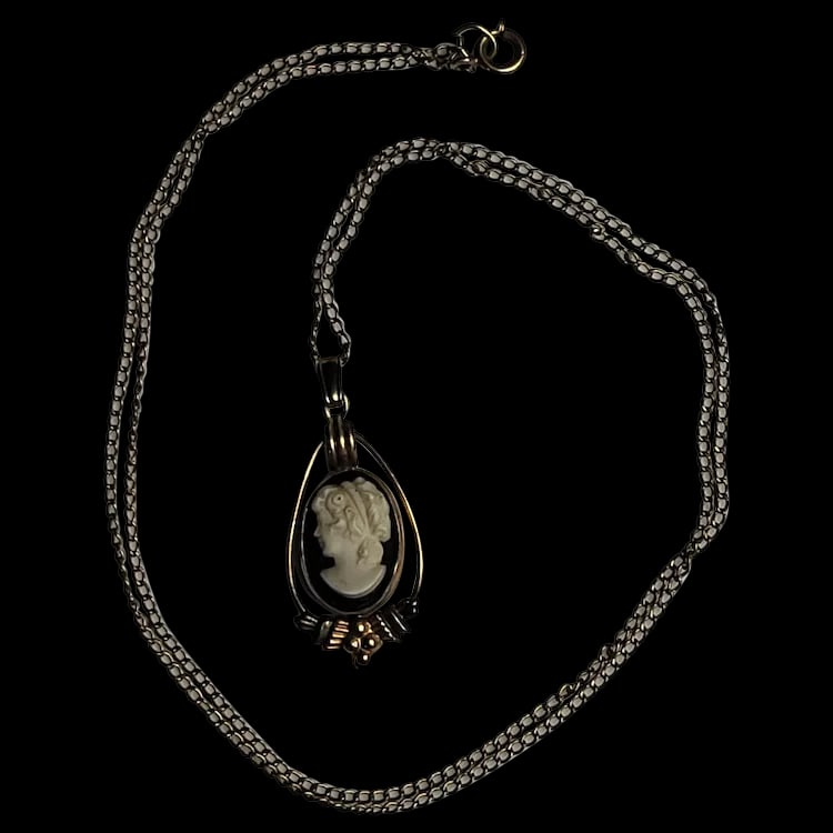 Vintage Gold Filled Van Dell Cameo Necklace Hallmarked Van Dell 1/20 14k G.F.: Vintage Gold Filled Van Dell Cameo Necklace Hallmarked Van Dell 1/20 14k G.F. vintage 1/20 14k G.F. Length - 20 inches, Cameo 1 x .5 Reserve: $98.00 Shipping: Domestic: Flat-rate of $6.00 to anywhere 