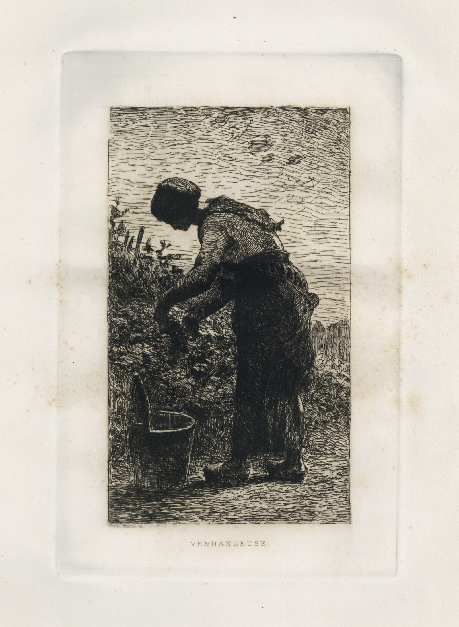 Francois Auguste Feyen-Perrin original etching "Vendangeuse" (1 of 1)