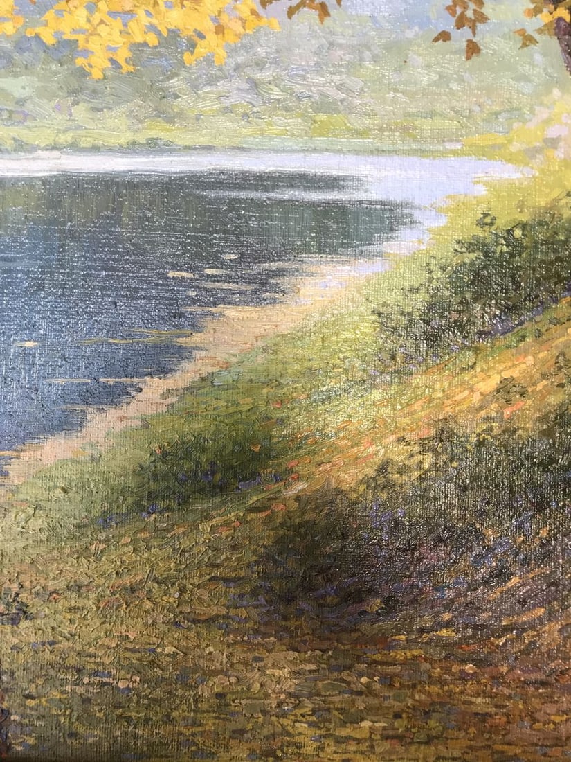 Oil painting Wonderful outdoor recreation Gerashchenko Volodymyr Fedorovich - 11