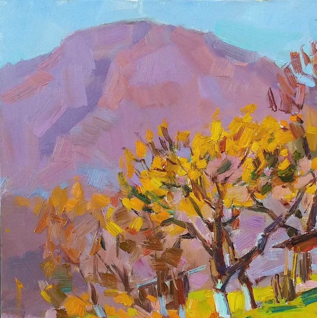 Oli painting A house in the mountains Tepeta Miacheslav - 4