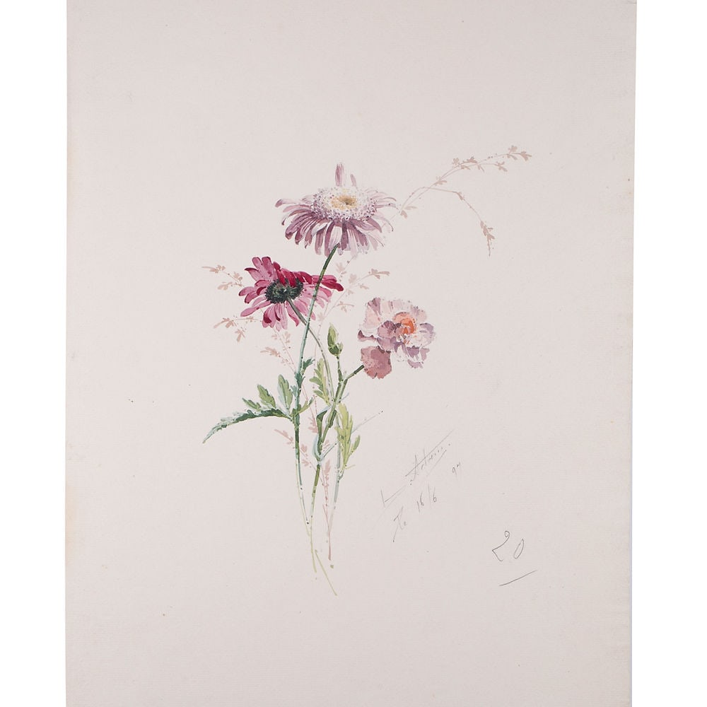FRENCH aquarellist painting of flowering daisy bis Henri Adam 1890