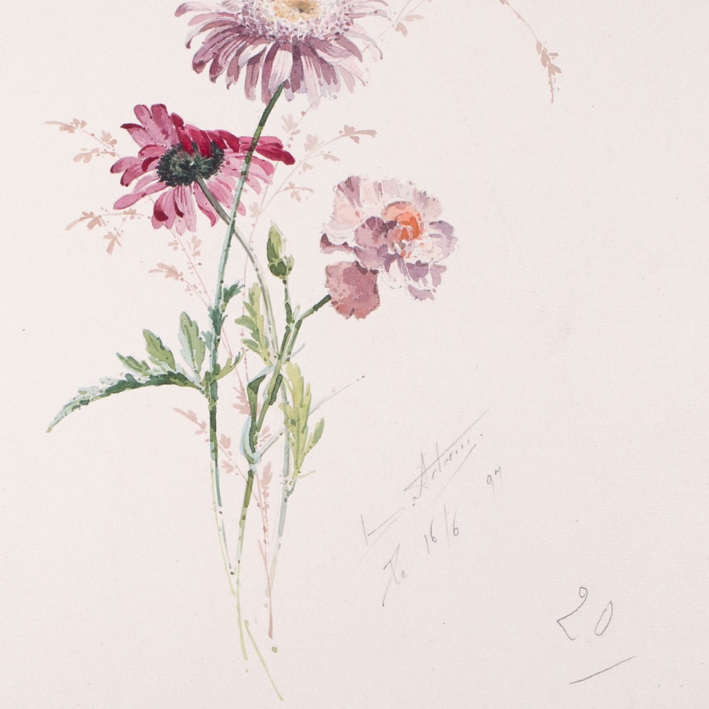 FRENCH aquarellist painting of flowering daisy bis Henri Adam 1890 - 2