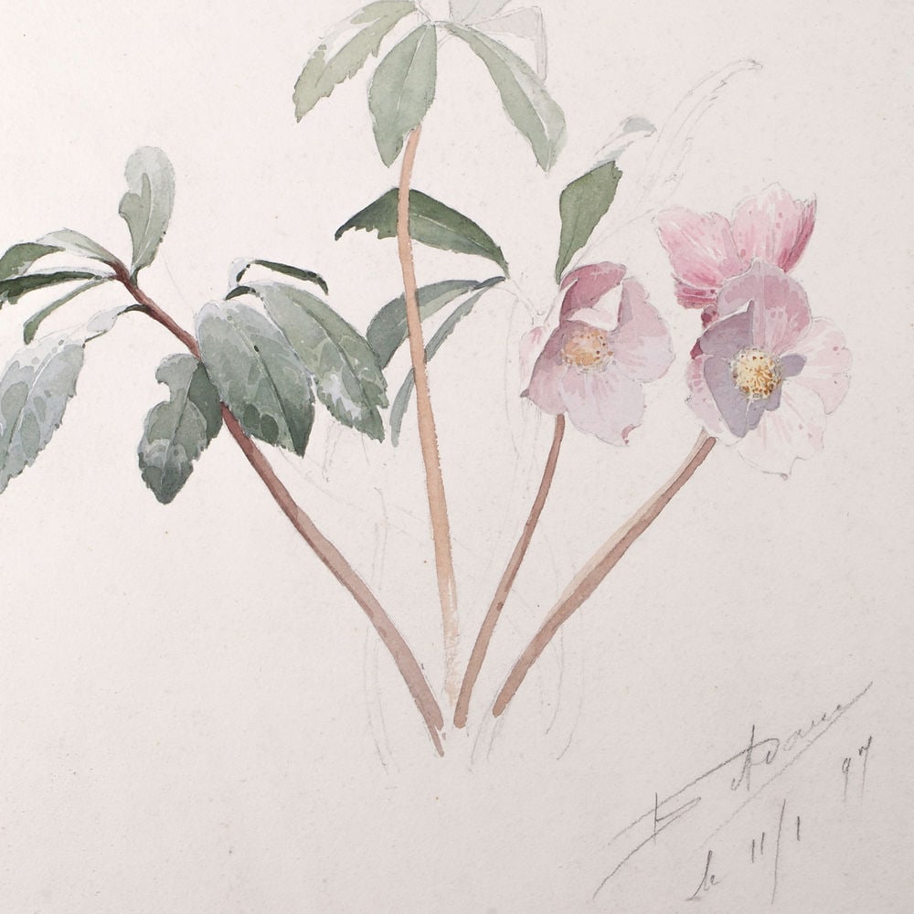 FRENCH aquarellist painting of unfinished esquise Henri Adam 1897 - 2
