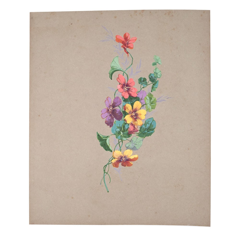 FRENCH aquarellist painting of flowering daisy Henri Adam 1890: Made in France during the 1890's this drawing is aquarelle original rendering of flowering poppies created by Henri Adam (1864 – 1917),Henri ADAM studied with Philippe Zacharie at the Fine Arts 
