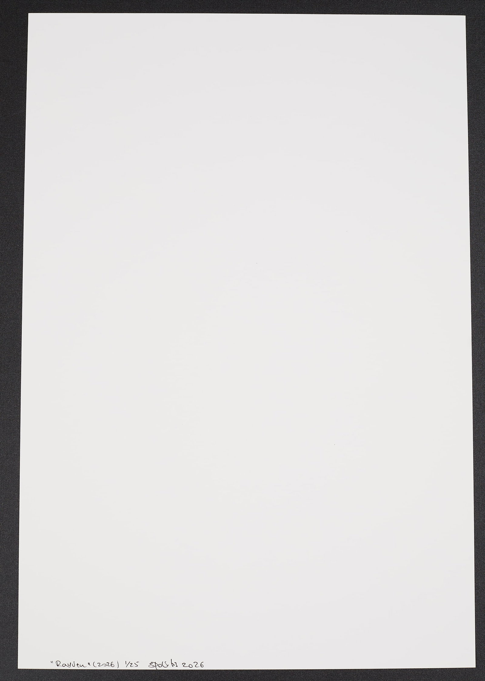 Rayven"(no fabric) - 7