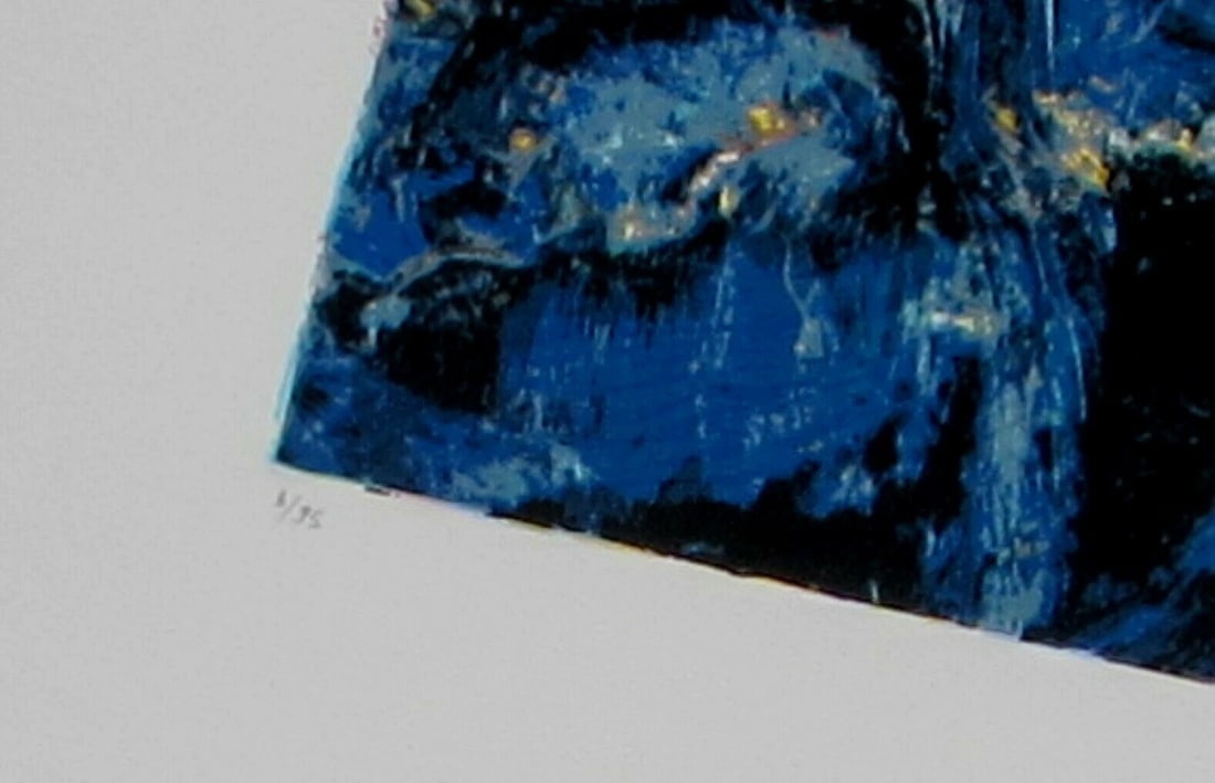 ARDYN HALTER Color Screenprint Wadi Ara 1995 S/N 8/95 - 5