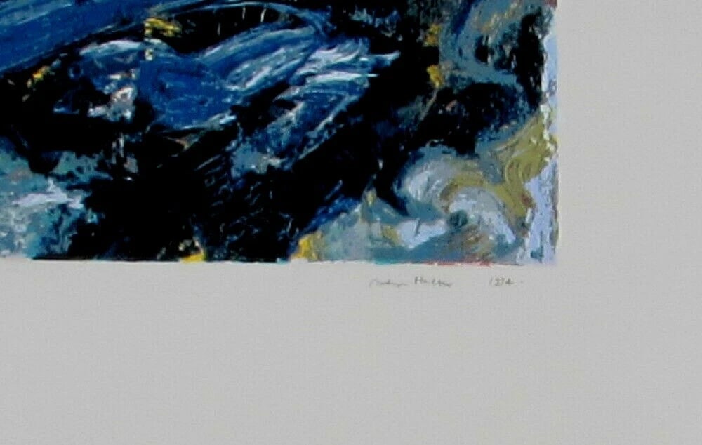 ARDYN HALTER Color Screenprint Wadi Ara 1995 S/N 8/95 - 6