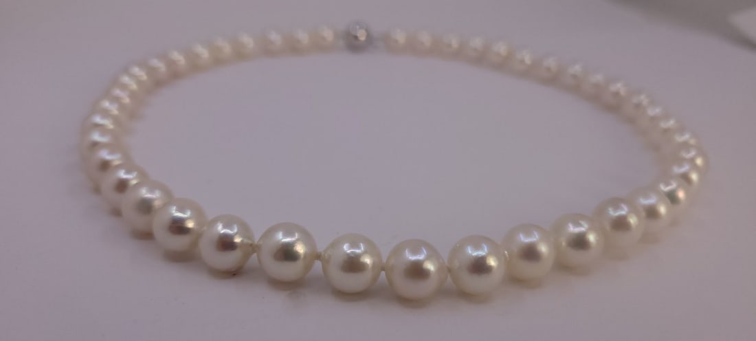 Necklace 9x9.5mm Akoya Pearls - 8