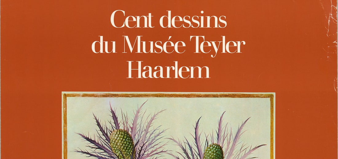 Aquarelle de Maria Sybilla Merian - 2