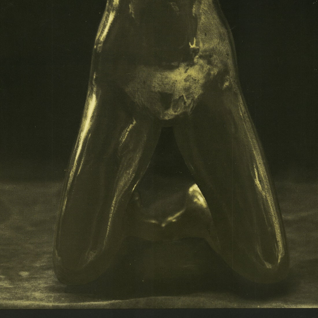 Sculptures - 3