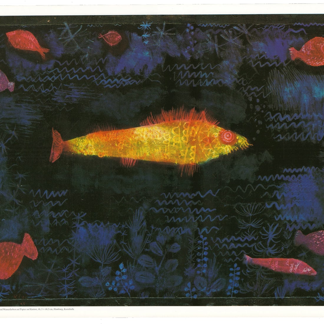 The Goldfish - 3