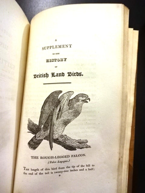 1804 Bewick History of British Birds - 2