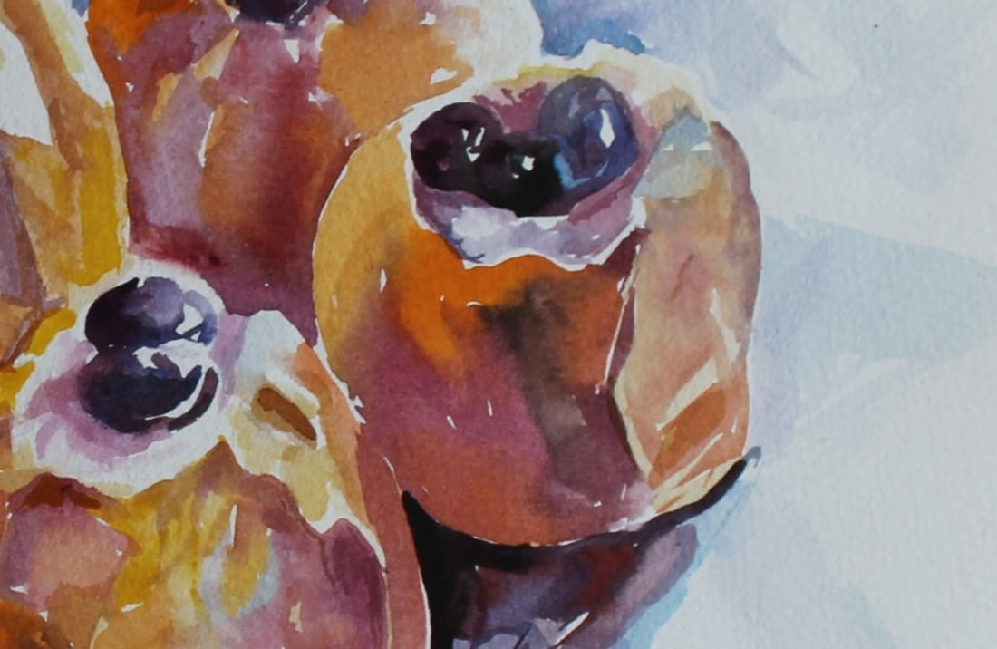 Watercolor painting Cooked apples Maria Voloschak - 9