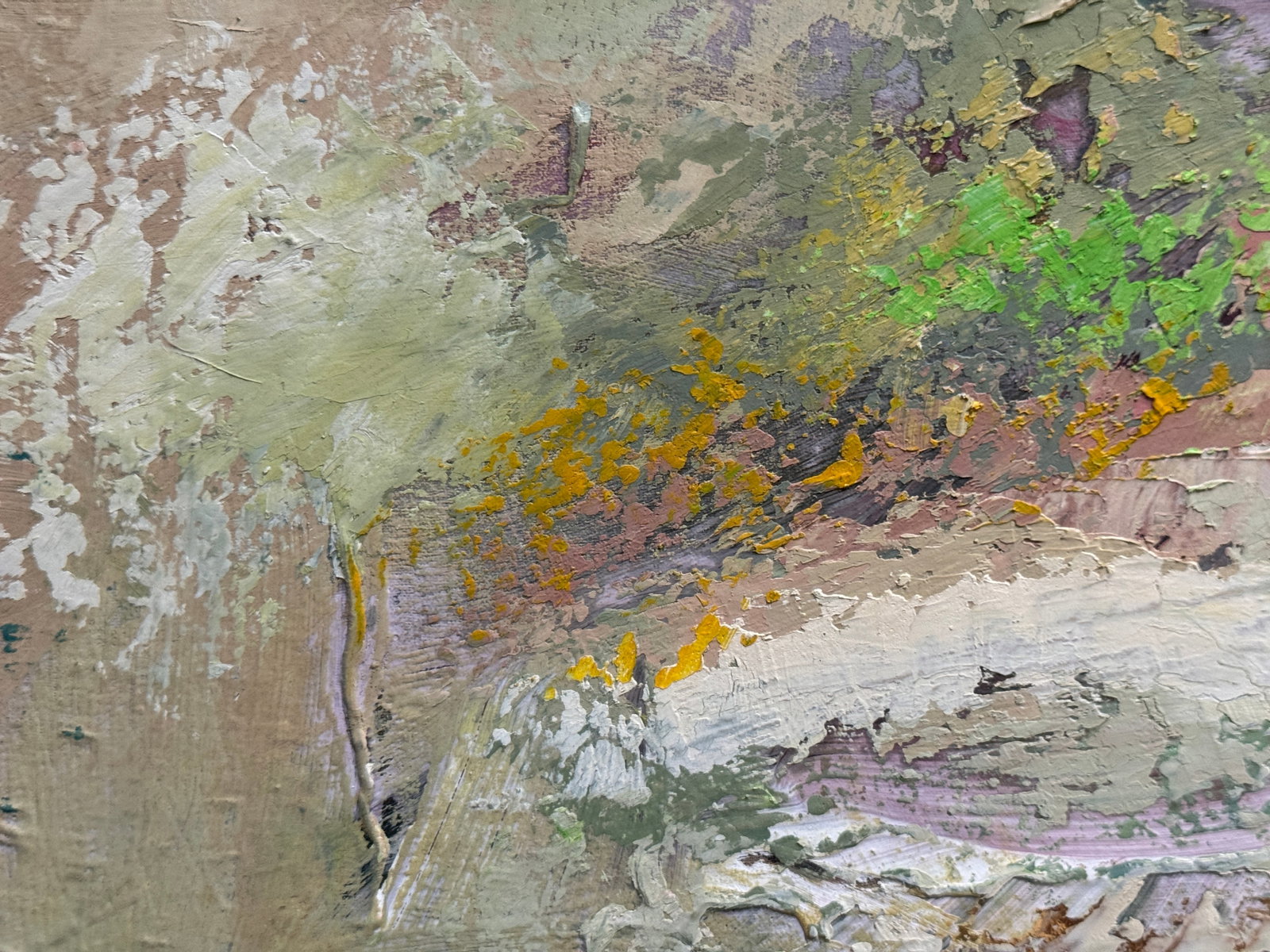 Oil painting with farme Lviv, St. George's Cathedral K. Leonid - 3