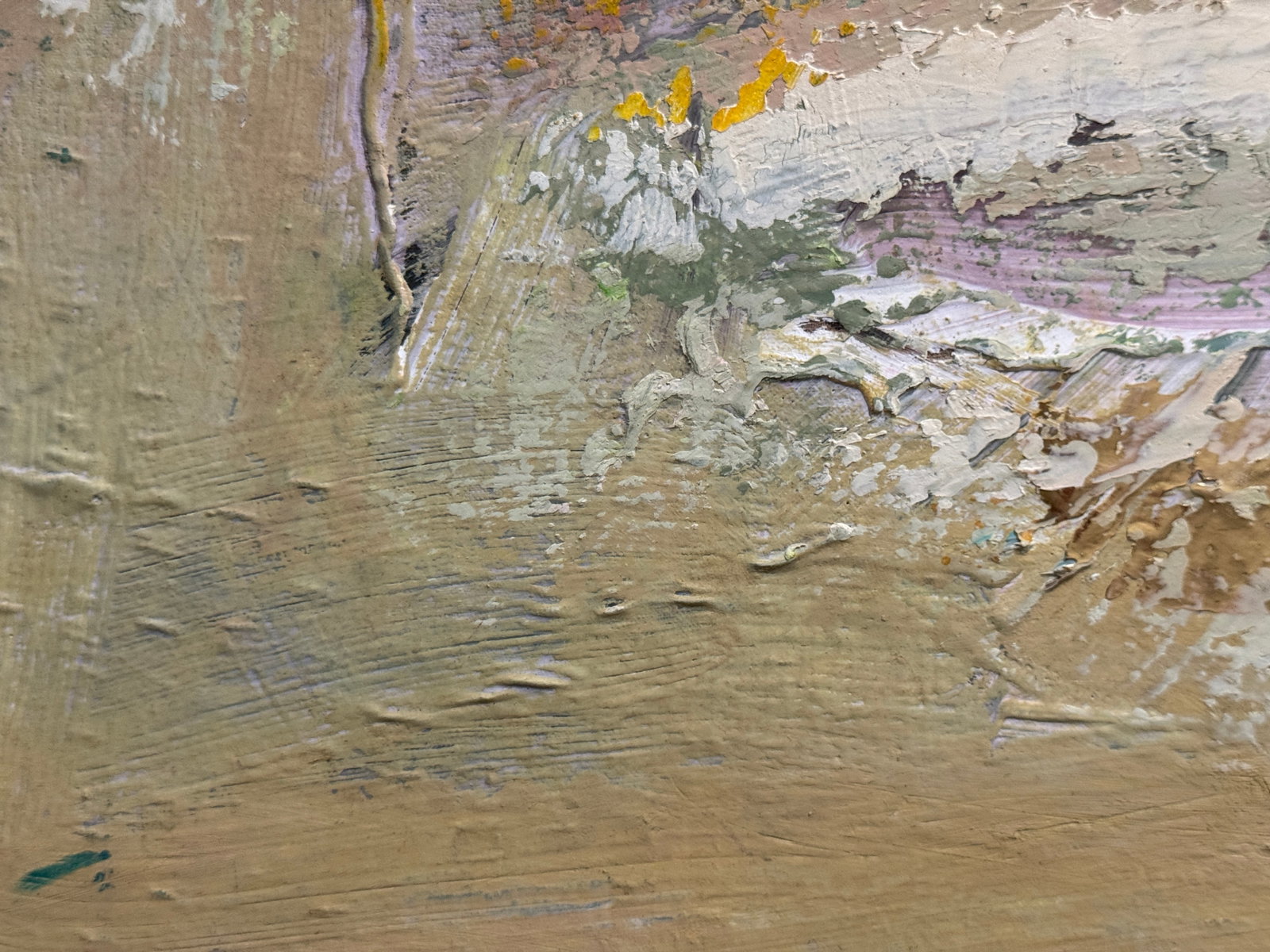 Oil painting with farme Lviv, St. George's Cathedral K. Leonid - 4