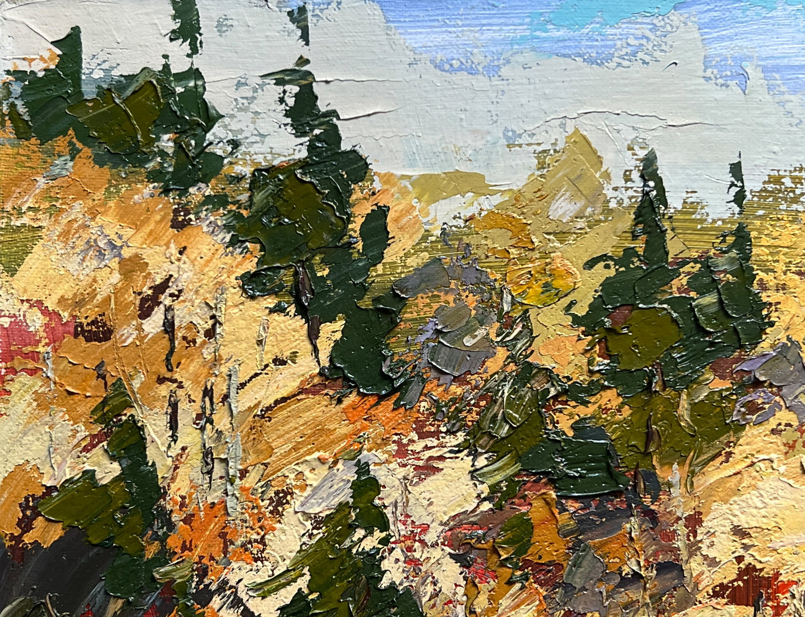 Oil painting with farme a lake in the Carpathians K. Leonid - 2